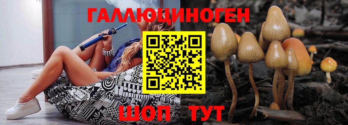 Волгодонск  Галлюциногенные грибы мицелий  Вход с VPN  Псилоцибиновые грибы Cubensis 
