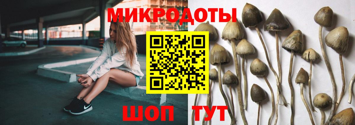 Псилоцибиновые грибы GOLDEN TEACHER Волгодонск